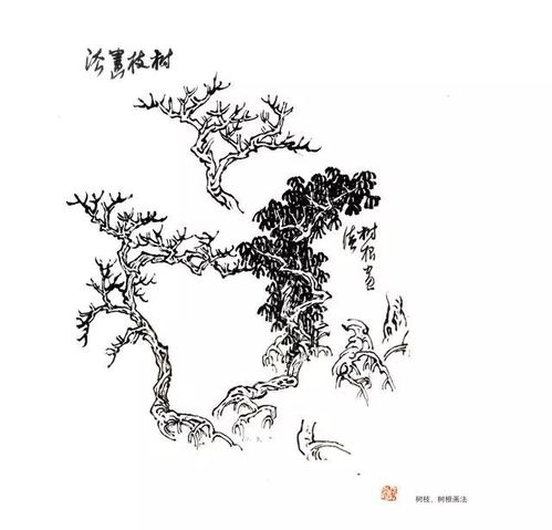 书画 精品收藏贴 30副国画树木临摹图