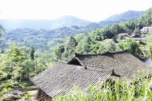 雨城发展产业助脱贫建设新村奔富路