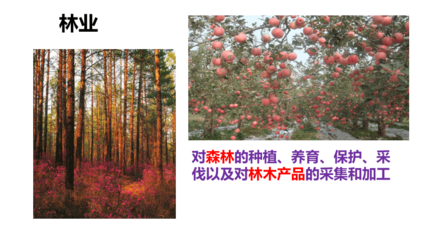 湘教版地理八年级上册第四章第一节 农业 课件(共51张PPT)