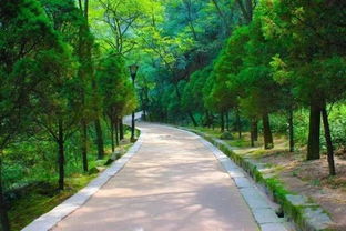 后来的我们 一定要一起旅行