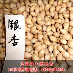 林木种子批发价格_农副产品_世界工厂网