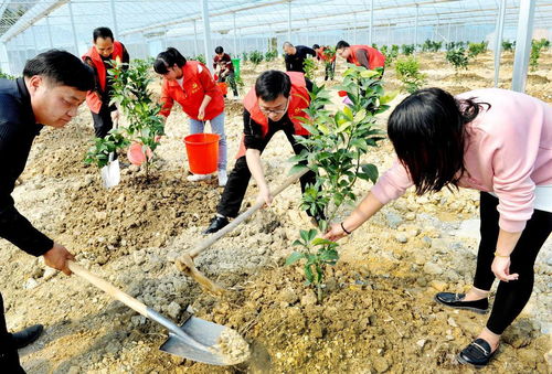 江西上饶 乡村党员干部田间地头助春耕