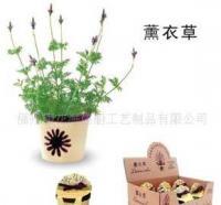 0迷你花草种子小盆栽种植果树梦花园[批发]_盆景_世界工厂网中国产品信息库