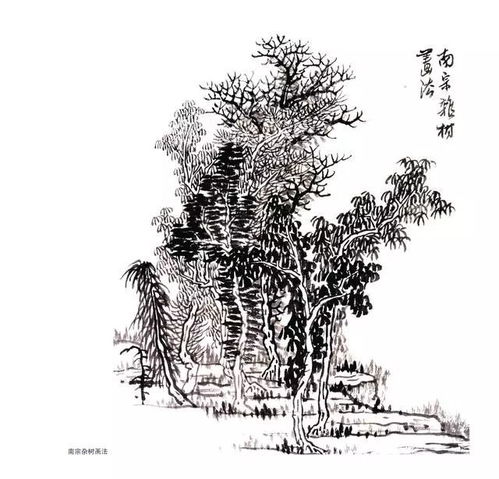 书画 精品收藏贴 30副国画树木临摹图
