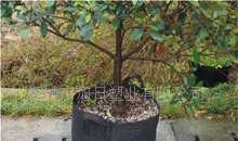 无纺布植树袋、无纺布林木容器袋(65CM高*40CM口径)_农副产品_世界工厂网中国产品信息库