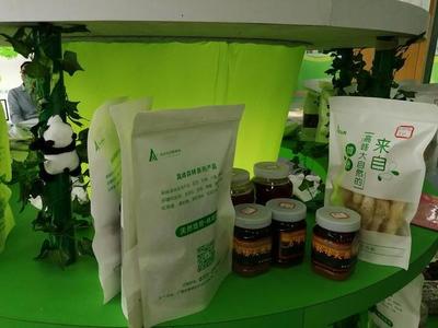 14.6万元一公斤的冬虫夏草,出现在中国东盟博览会林木展上