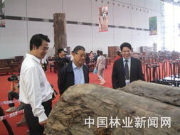 林木产品闪耀中国 东盟博览会